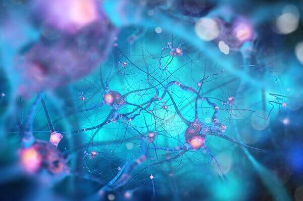 Rede neuronal