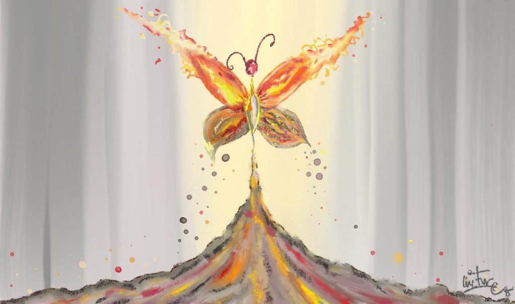 Borboleta renascendo