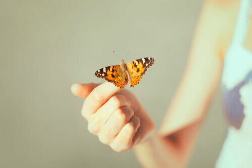 Mão segurando borboleta