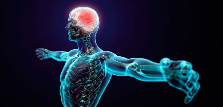 Corpo humano e psicologia