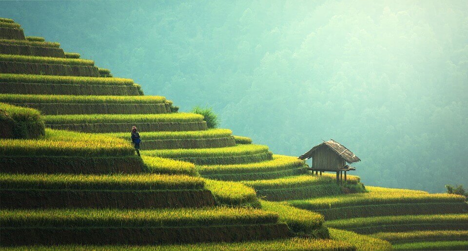 cultura-agricultura Você sabe o que é a evolução cultural?