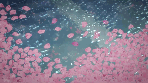 Pétalas de flores na água