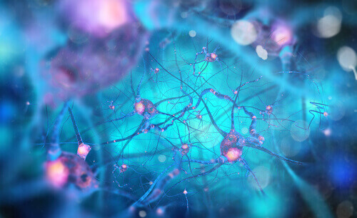 Neurônios no cérebro