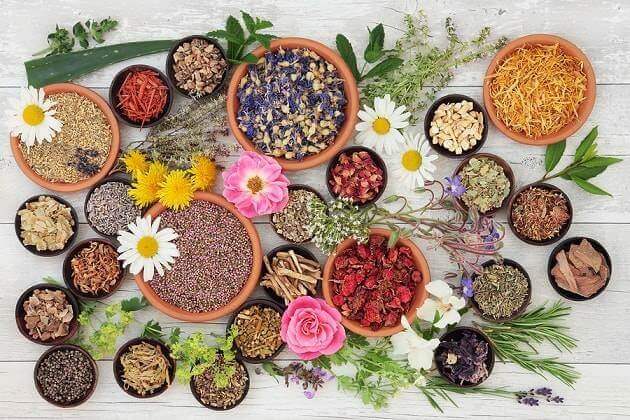 5 ansiolíticos naturais