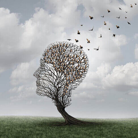 Árvore em forma de cabeça