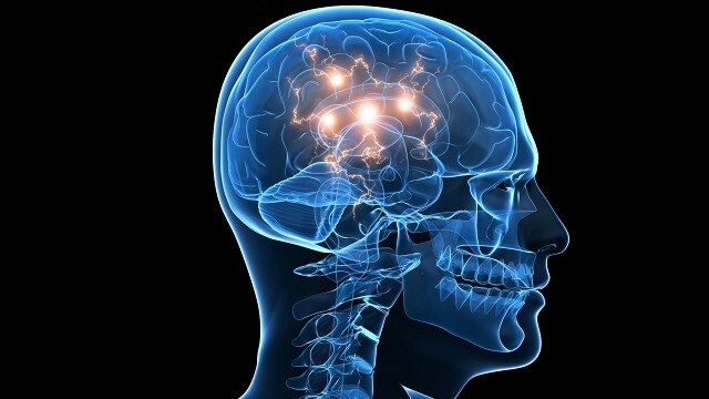 Conexões do cérebro humano