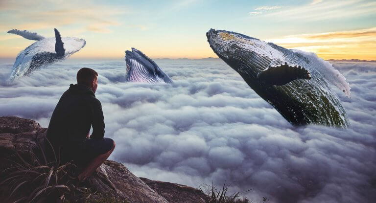 Homem observando céu com baleias voando