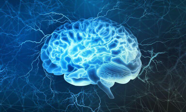 Efeitos da música no cérebro