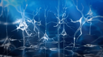 Neurônios