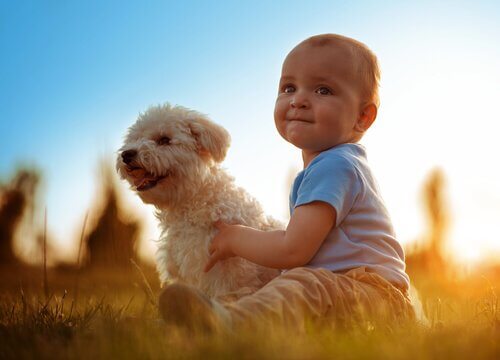 bebe-com-cachorro Os benefícios da convivência entre animais e bebês