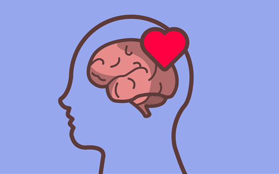 cerebro-com-coração Analfabetismo emocional: quando falta coração em nosso cérebro