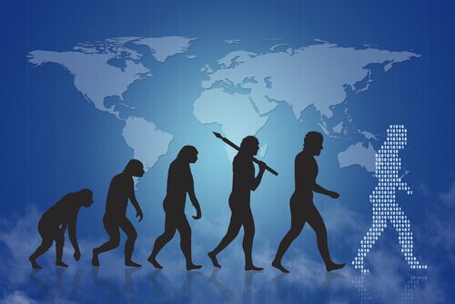 A história da evolução humana