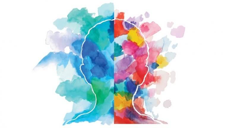 Hemisférios cerebrais