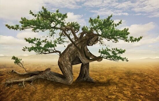 Árvore com formato de corpo