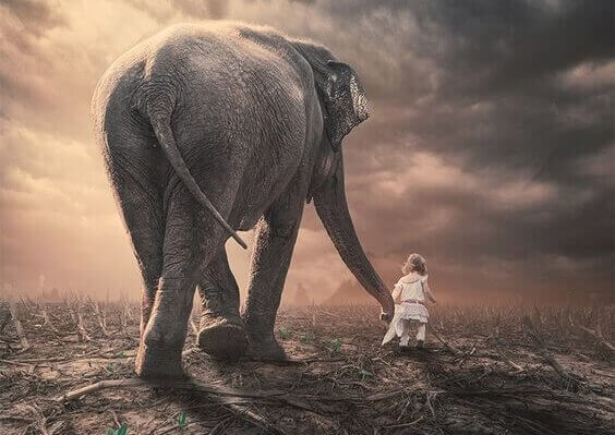 Menina com elefante