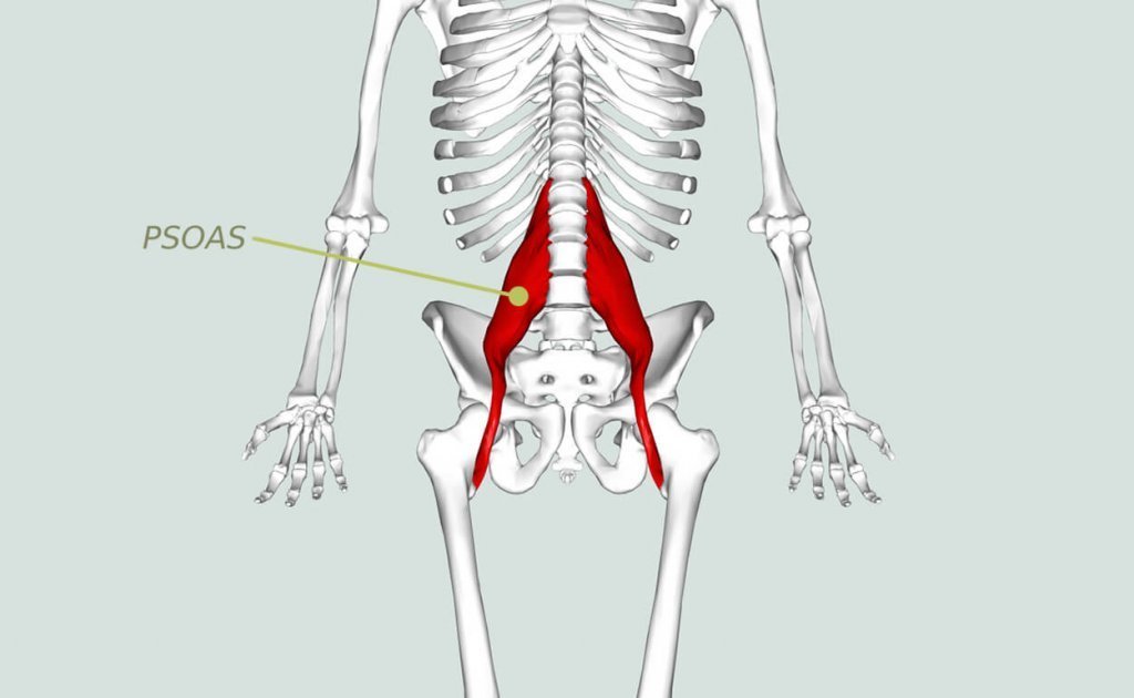 Psoas, o músculo da alma