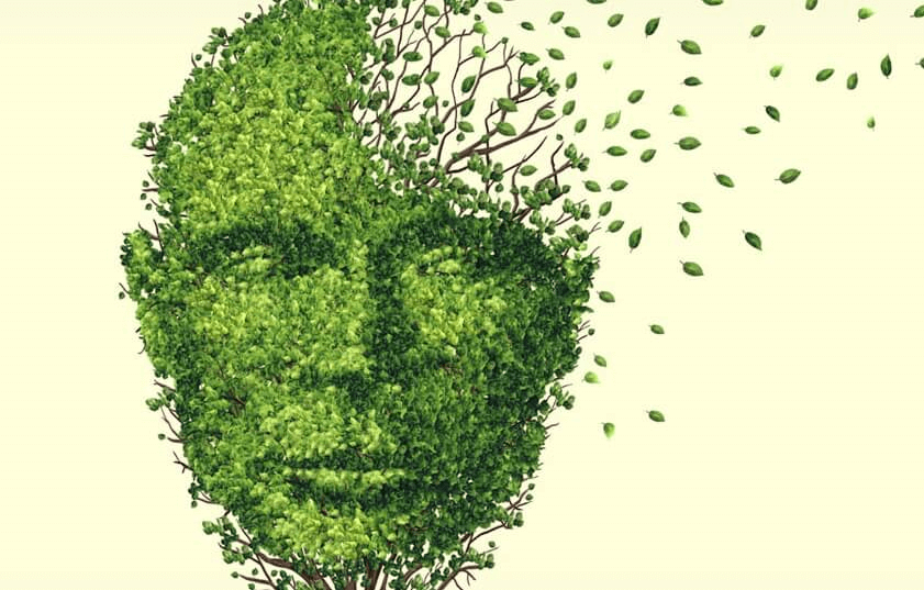 Cabeça de árvore com folhas voando