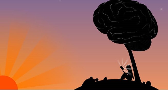 Cultive a inteligência e a sabedoria