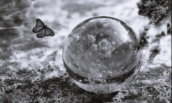 bola-de-cristal-com-mariposa Fragilidade emocional, chaves para entender e fortalecer o “eu”