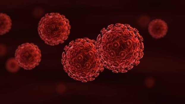 Células do sangue