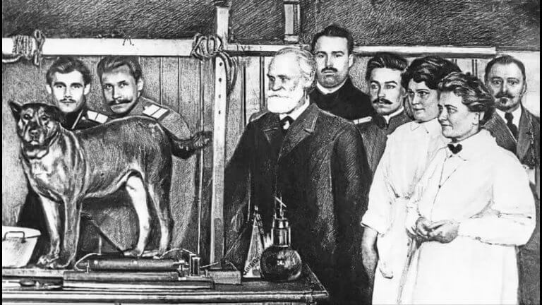 Experimento de Pavlov