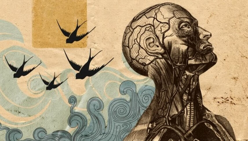 Psicologia humanista