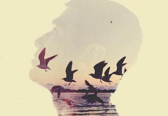 Reflexo de homem com pássaros voando