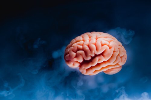 Tsunami cerebral: o que acontece no cérebro antes de morrer