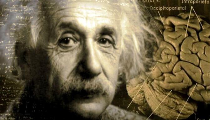 A incrível história do cérebro de Albert Einstein