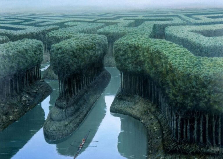 Floresta em forma de labirinto