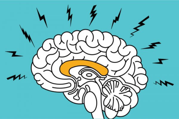 O impacto da ansiedade no cérebro