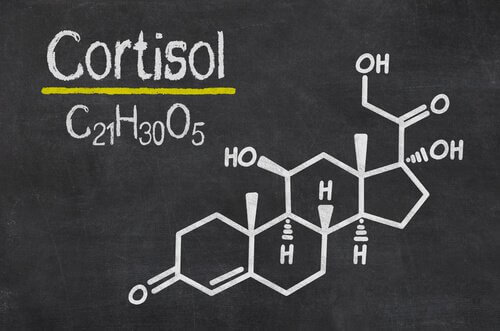 Cortisol