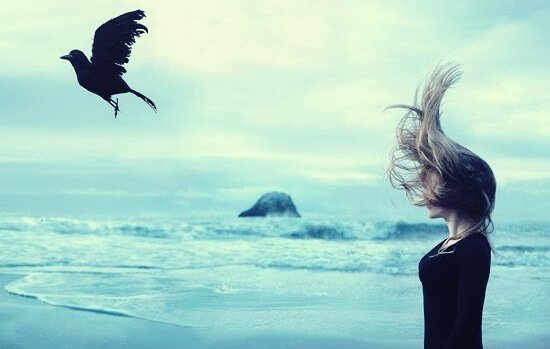 Mulher em praia diante de pássaro preto voando
