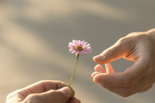 Pessoa dando flor a outra