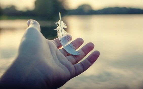 Mão segurando pluma