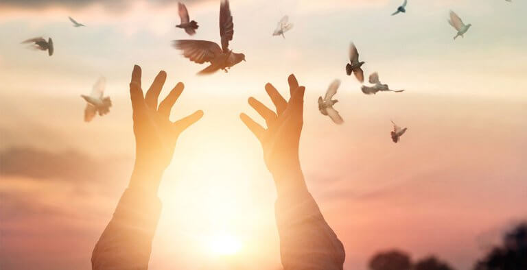 Pássaros voando em liberdade