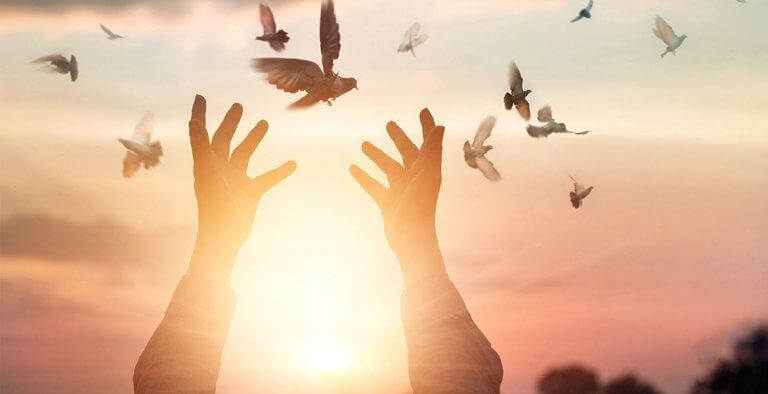Viver em liberdade