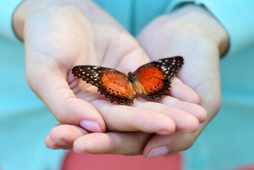 Mão com borboleta