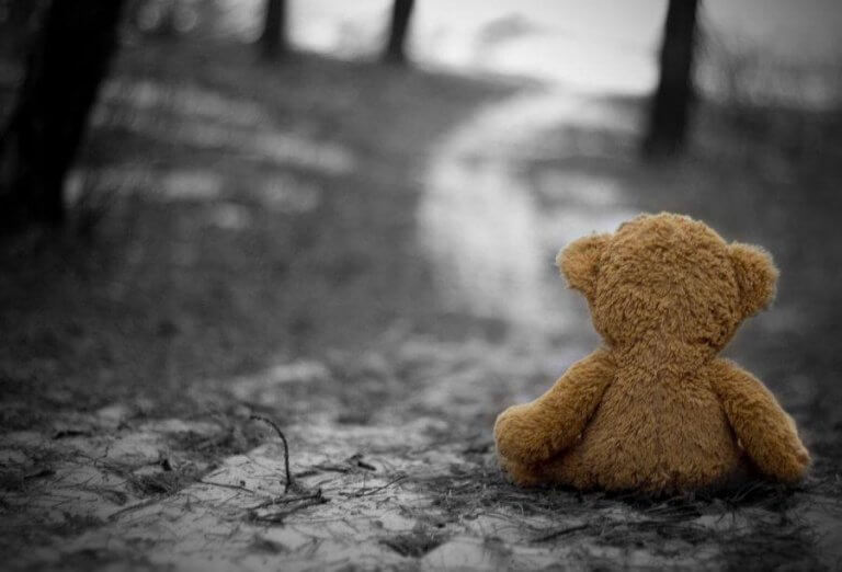 Ursinho de pelúcia sozinho na floresta