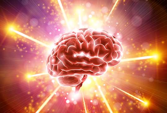 A força do cérebro humano