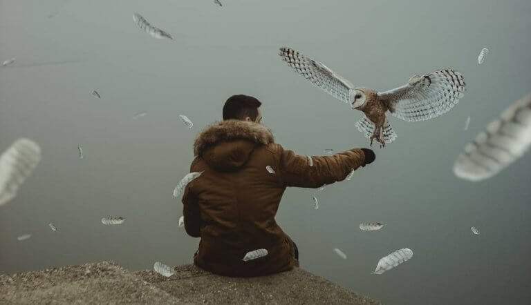 Homem recebendo pássaro