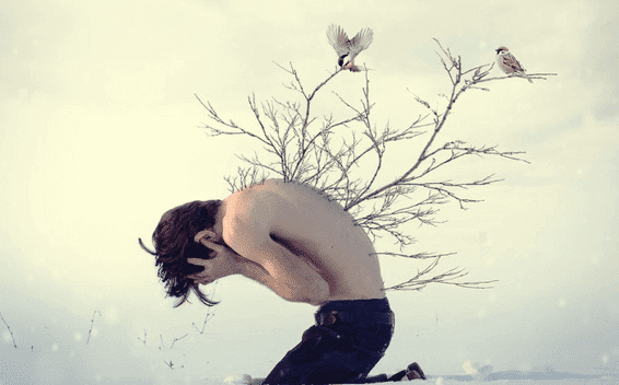 As feridas do autoritarismo