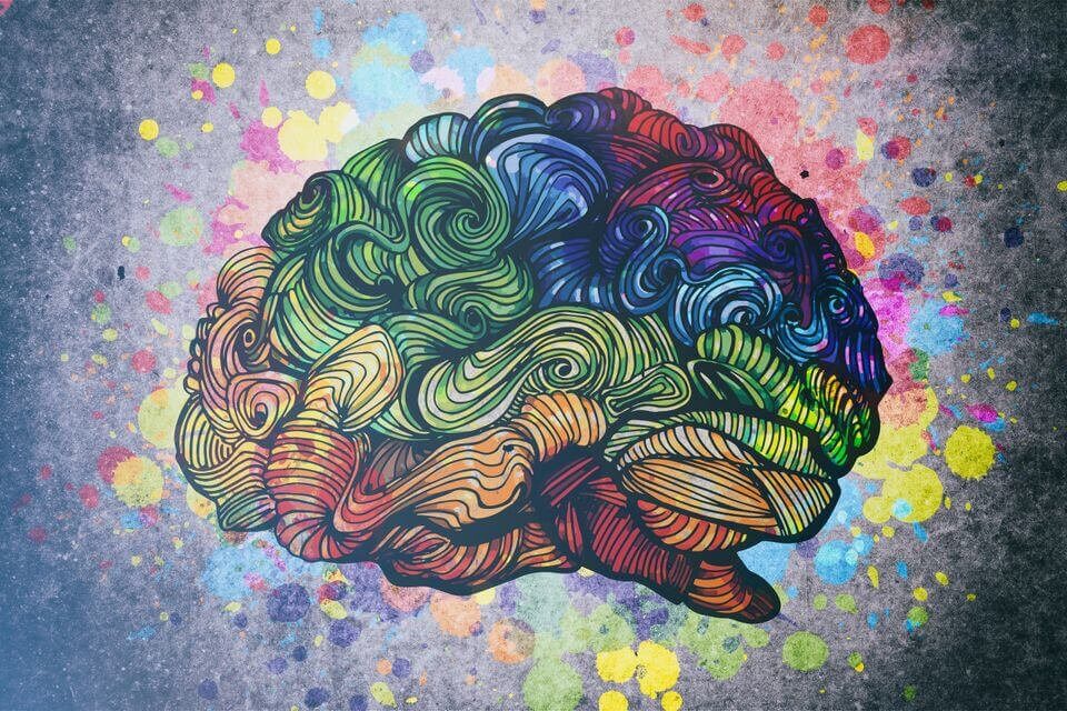 O cérebro criativo