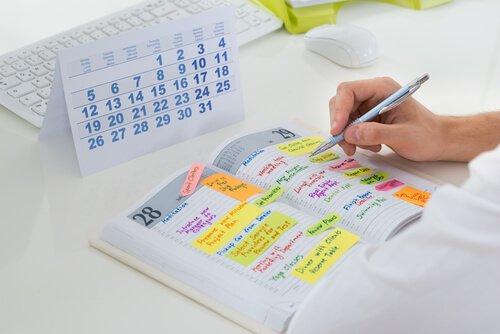 Organização e planejamento