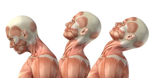Exercício para a cervical