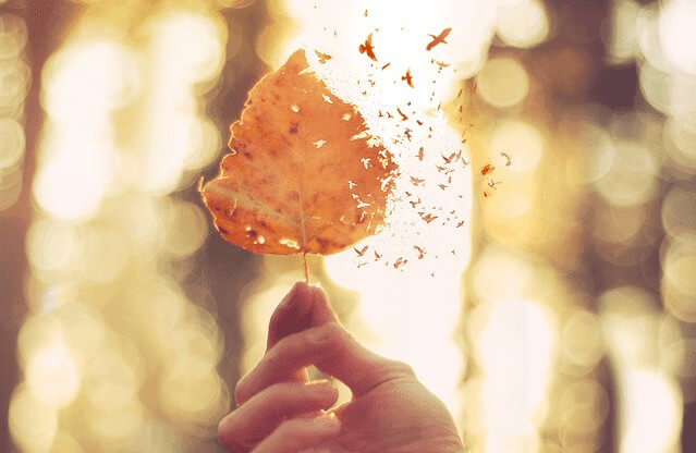 Como enfrentar o desgaste que nos faz mal