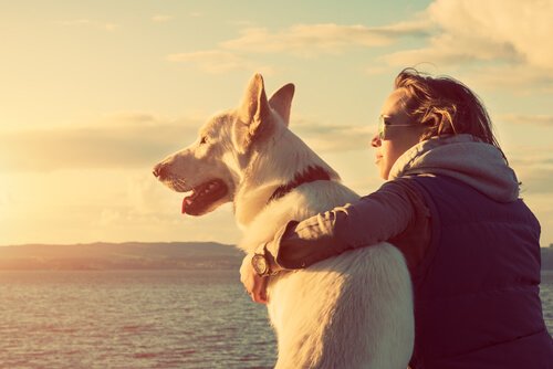 Mulher abraçada com seu cachorro