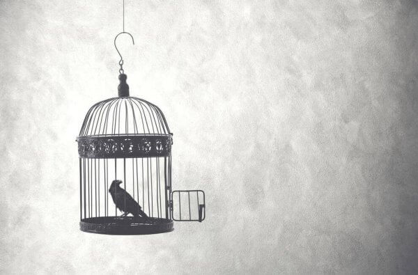 Pássaro em gaiola com a porta aberta