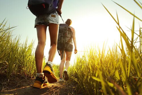 Amigas fazendo caminhada na natureza