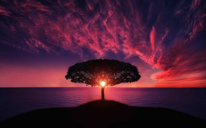 Ahimsa, um conceito de paz integral